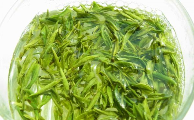 霍山黄芽的作用禁忌有哪些.png 霍山黄芽的作用禁忌有哪些.png