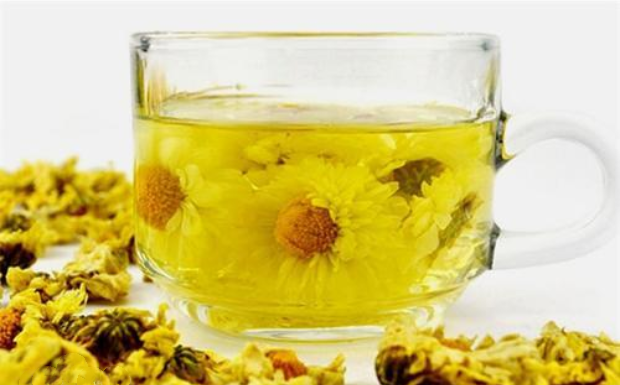 菊花茶可以天天喝吗.png