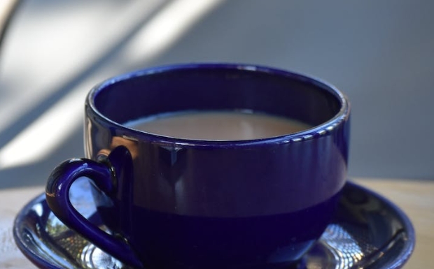 平水珠茶介绍.jpg