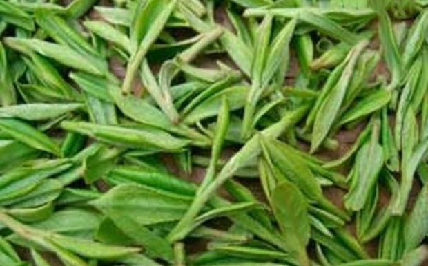 霍山黄大茶和霍山黄芽的区别.png 霍山黄大茶和霍山黄芽的区别.png