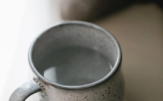 涌溪火青是什么茶有哪些特点.jpg