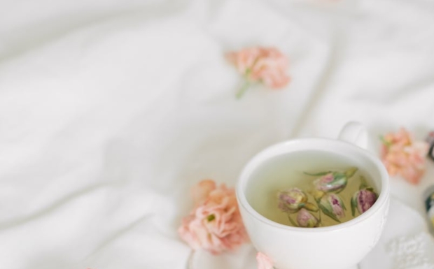 竹叶青茶和雀舌的区别.jpg 竹叶青茶和雀舌的区别.jpg