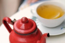 喝白茶好还是天山绿茶好