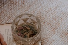 麻姑茶的泡法