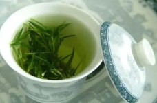 上饶白眉保质期