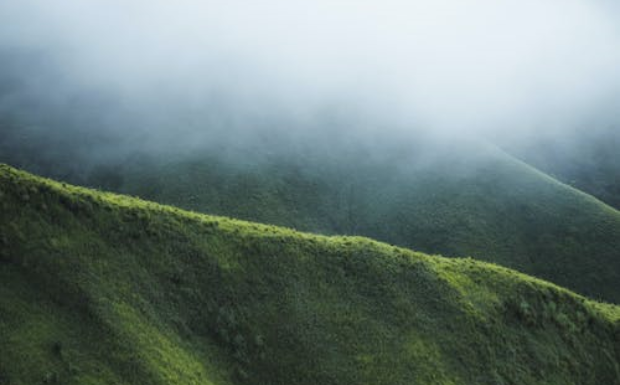 霍山黄芽的产地及品质特征.png 霍山黄芽的产地及品质特征.png