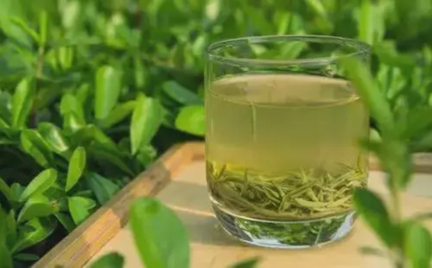 庐山云雾茶是绿茶吗还是黄茶.jpg