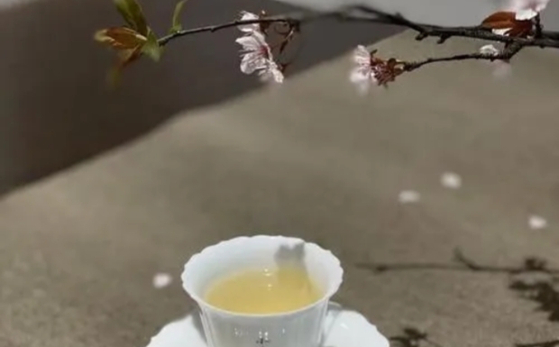 贵州都匀毛尖茶价格.jpg 贵州都匀毛尖茶价格.jpg