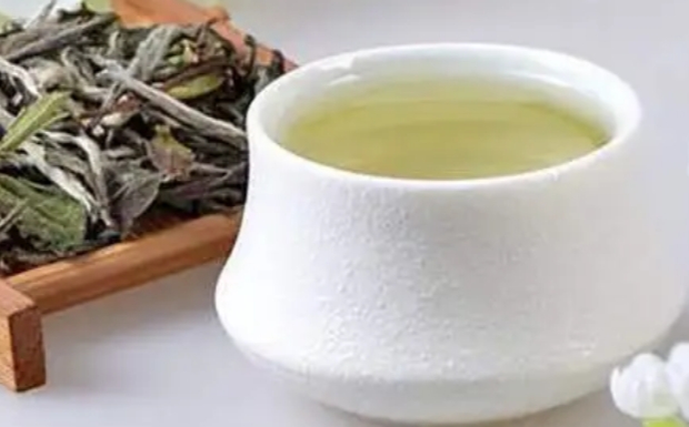 古丈毛尖是什么茶树品种.jpg 古丈毛尖是什么茶树品种.jpg