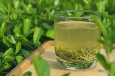 庐山云雾茶是绿茶吗还是黄茶