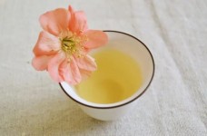 庐山云雾茶哪个品牌正宗