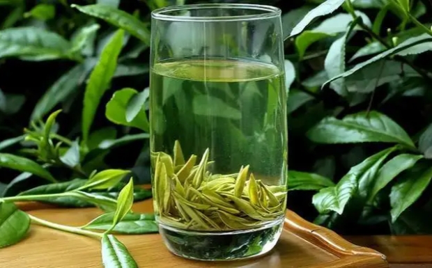 午子仙毫茶怎么样.jpg 午子仙毫茶怎么样.jpg