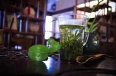 太平猴魁茶如何保存