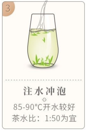 太平猴魁的冲泡方法修改3.jpg