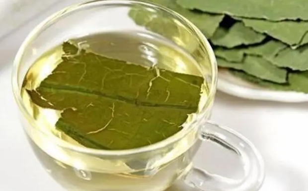 黄竹白毫茶的禁忌事项.jpg 黄竹白毫茶的禁忌事项.jpg