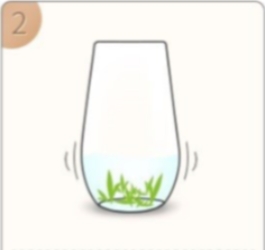 信阳毛尖的冲泡方法2.jpg