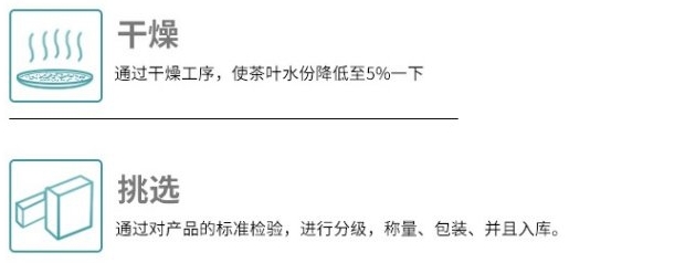 都匀毛尖的制作工艺3.jpg