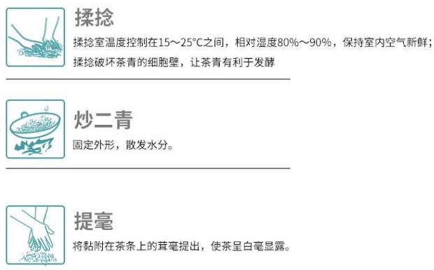 都匀毛尖的制作工艺2.jpg 都匀毛尖的制作工艺2.jpg