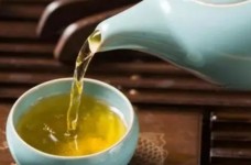 麻姑茶生物学特征
