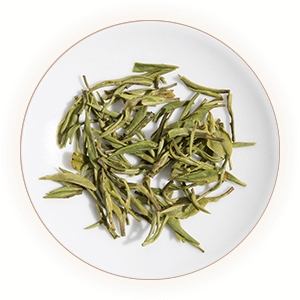 雨花茶的叶底.jpg