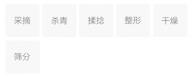雨花茶的制作工艺.jpg
