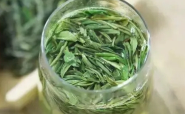 普龙茶制作工艺.jpg 普龙茶制作工艺.jpg