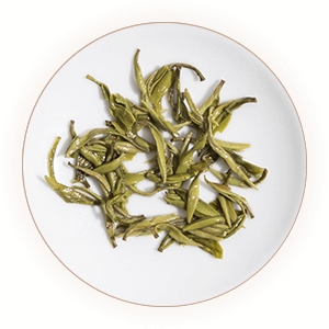 惠明茶的叶底.jpg
