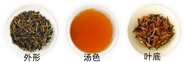 川红工夫茶外形.png 川红工夫茶外形.png