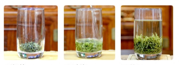 天山绿茶的冲泡方法修改.jpg