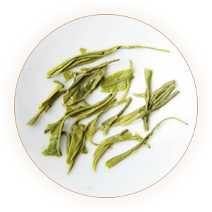 天山绿茶的叶底.jpg