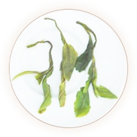 凤冈富锌富硒茶的叶底.jpg