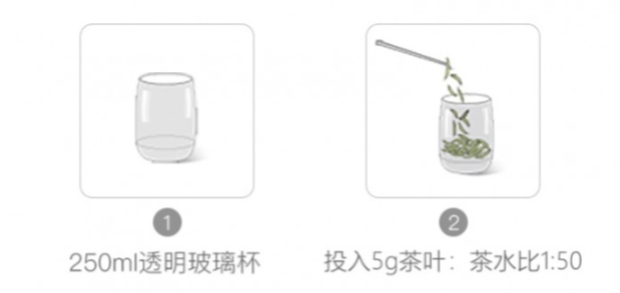 峨眉竹叶青的冲泡方法1.jpg