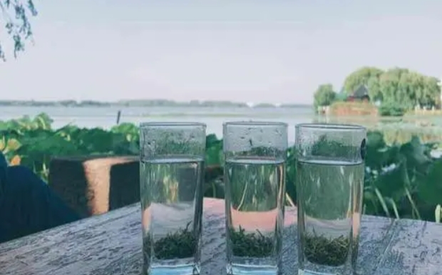 滇青茶的功效与作用.jpg 滇青茶的功效与作用.jpg
