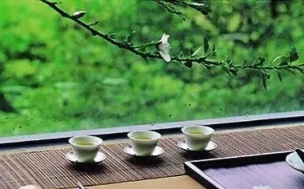 雁荡毛峰属于什么茶.jpg