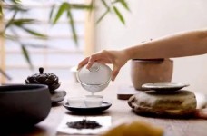 秦巴雾毫多少钱一斤