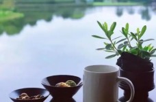 宁强雀舌与汉中仙毫区别