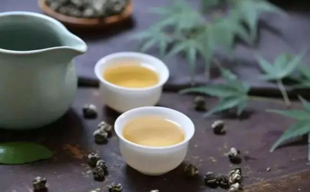 文君嫩绿的功效与禁忌是什么.jpg 文君嫩绿的功效与禁忌是什么.jpg