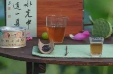 钱塘龙井的产茶区域