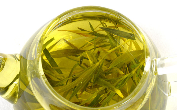 竹叶茶的功效与作用及禁忌.png 竹叶茶的功效与作用及禁忌.png