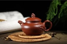 官庄毛尖的功效与作用