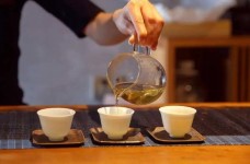 南山寿眉属于什么茶