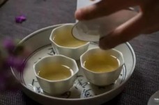 官庄毛尖多少钱一斤