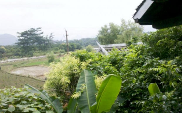 松溪小白茶产地在哪里.png 松溪小白茶产地在哪里.png