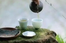 宝顶雪芽的功效与作用