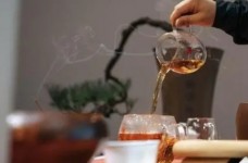 白马毛尖茶多少钱一斤