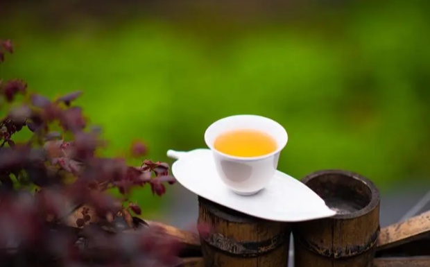 九龙茶的功效.jpg 九龙茶的功效.jpg
