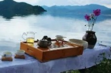 龙岩斜背茶属于什么茶