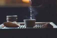 官庄毛尖属于什么茶