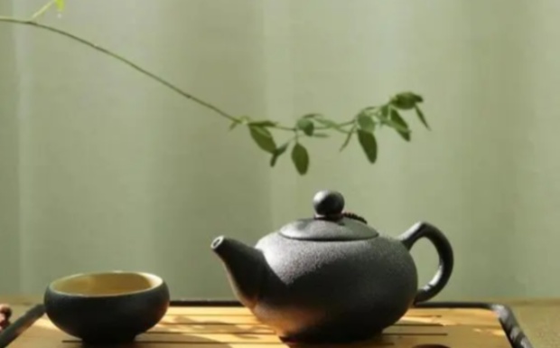 南山寿眉介绍.jpg 南山寿眉介绍.jpg