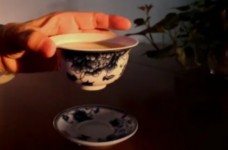 九龙茶属于什么茶叶